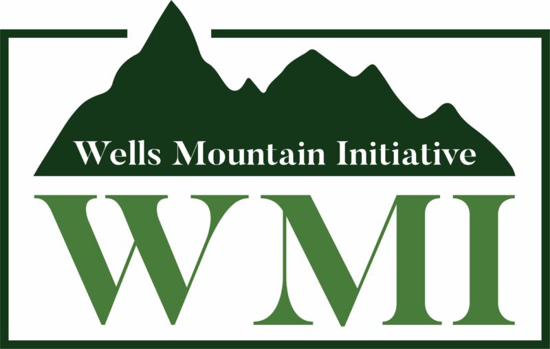 Well Mountain Initiative (WMI) Scholars Programme
